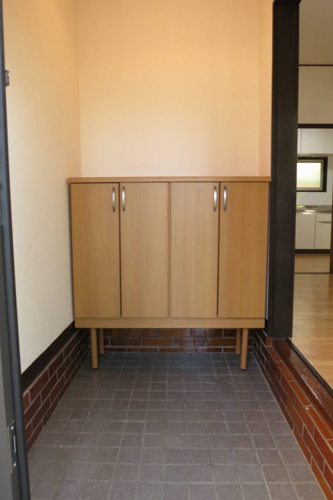 Entrance. Entrance in the shoes box new