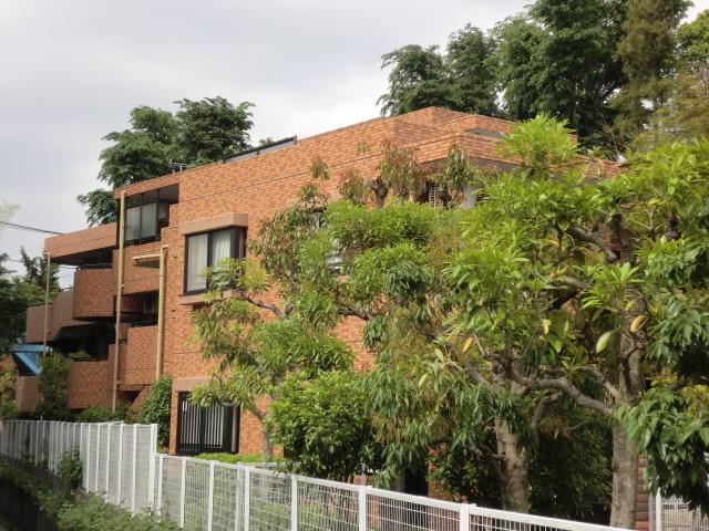 Local appearance photo. Local (10 May 2013) Shooting