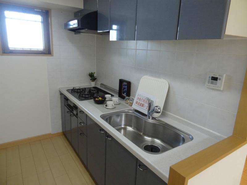 Kitchen. Indoor (12 May 2013) Shooting