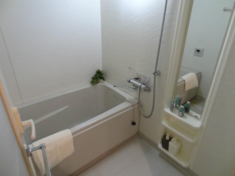 Bathroom. Indoor (12 May 2013) Shooting