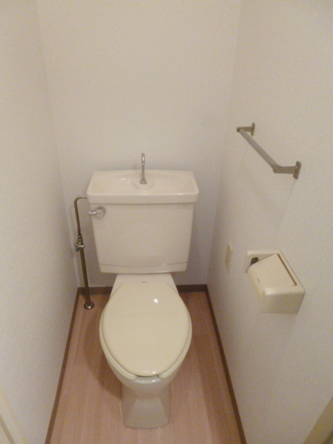 Toilet. Toilet with cleanliness