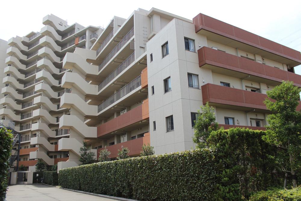 Local appearance photo. Local (January 2014) Shooting