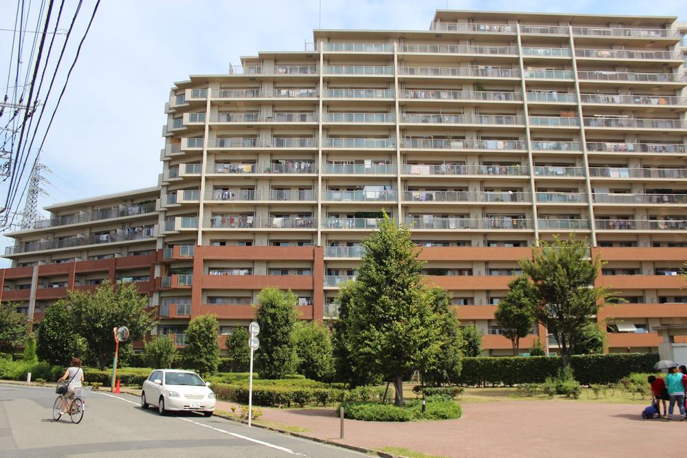 Local appearance photo. Local (January 2014) Shooting