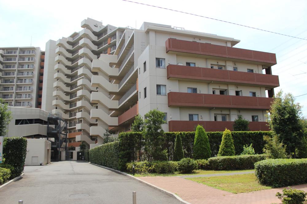 Local appearance photo. Local (January 2014) Shooting