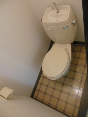 Toilet. I will put breath in the toilet because the bus toilet by