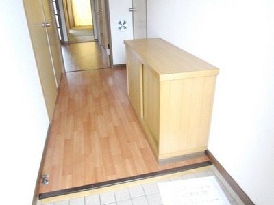 Entrance. ☆ Entrance with cupboard ☆