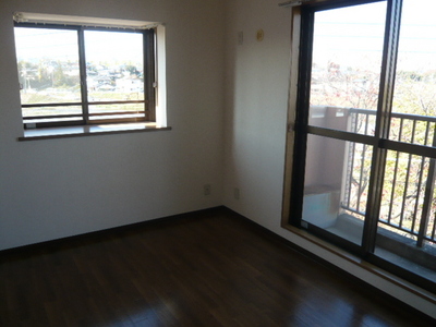 Living and room. Living room 3