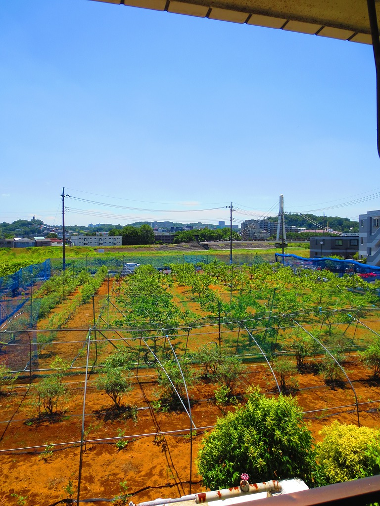 View. We hope Takahata direction