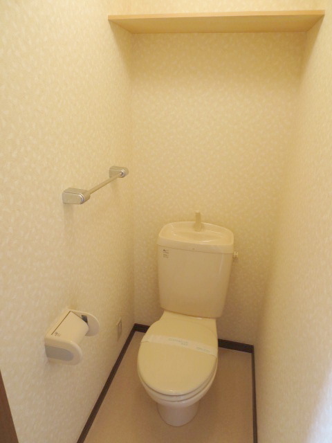 Toilet. Please variously placed on top of the shelf