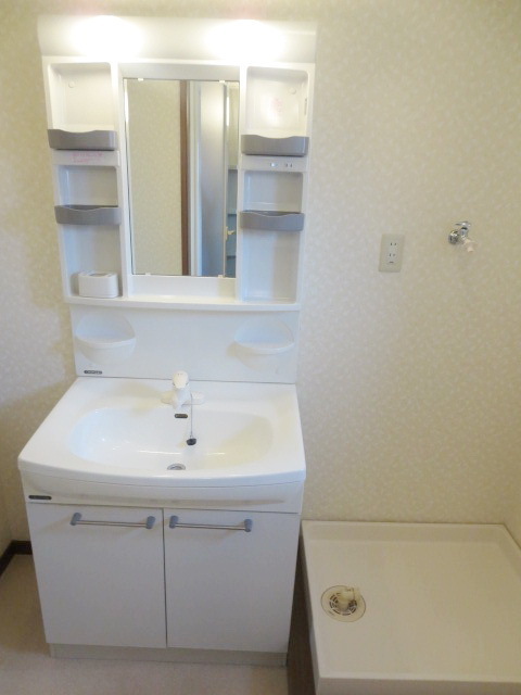 Washroom. Here also there space