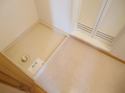 Washroom. Laundry Area in washroom!