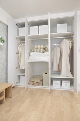 Ensuring also neat Maeru depth, such as closet costume case