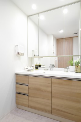 Directions to the model room (a word from the person in charge)