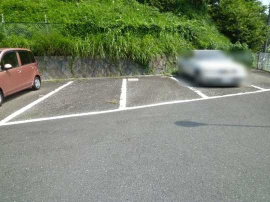 Local land photo. Target area