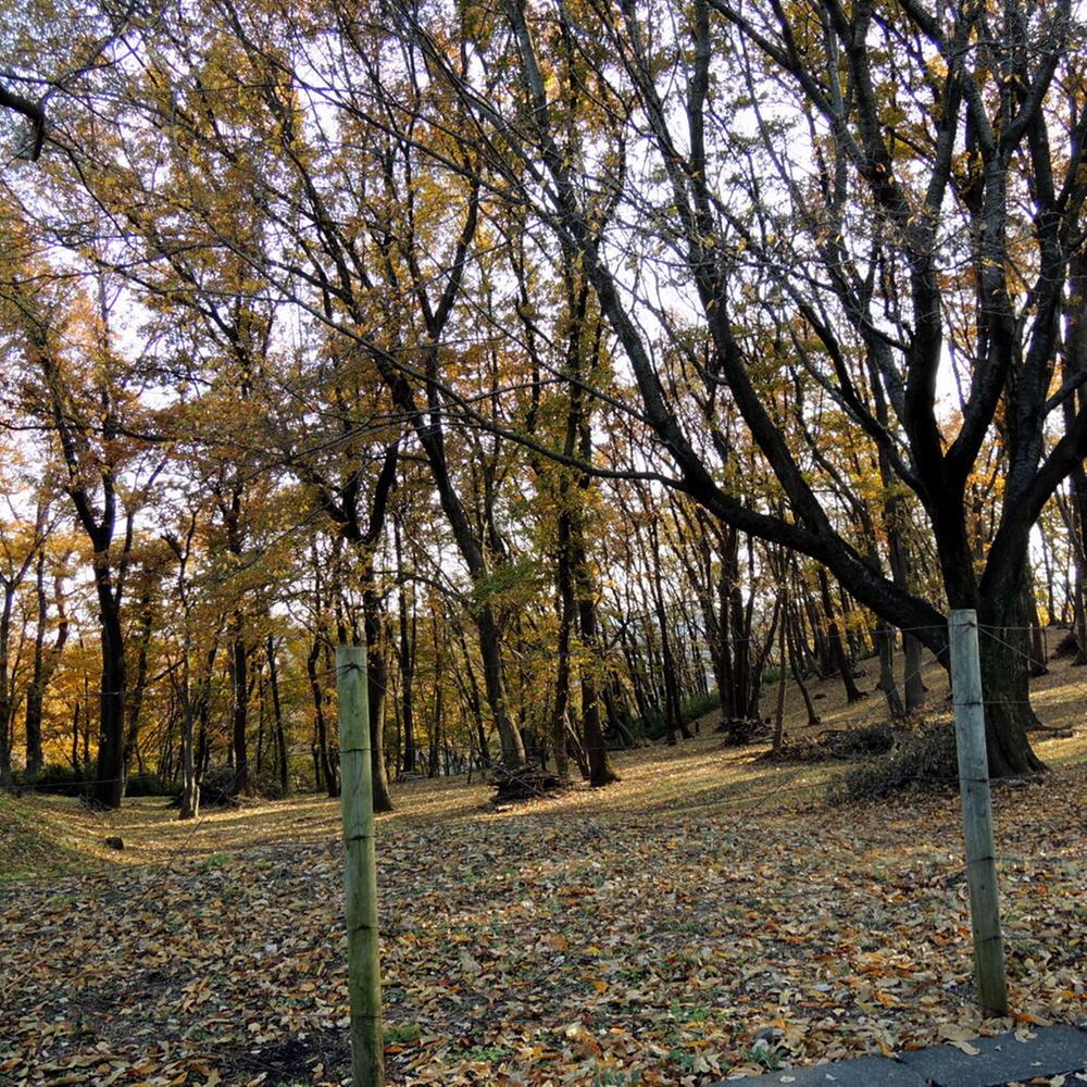 park. 819m to Hino green space