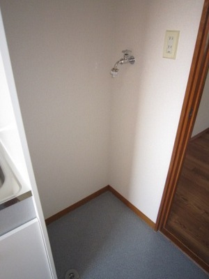 Washroom. Washing machine in the room