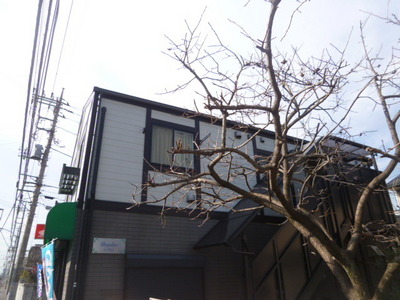 Building appearance. It is a pleasant street in front of