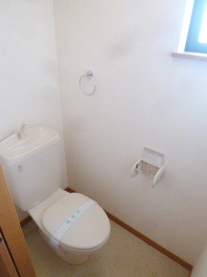 Toilet. Madoyu in toilet