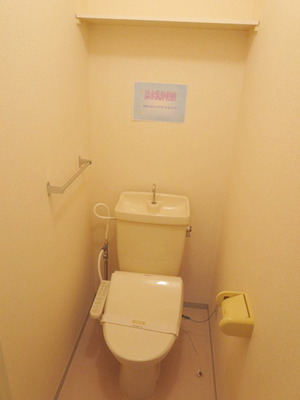 Toilet. Or hot water cleaning toilet would be required? 