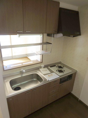 Kitchen. Gas two-neck of the system kitchen looks happy