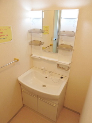 Washroom. There is a separate wash basin and anyway convenient! 