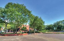 park. 960m to Central Park Hino