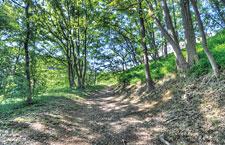 park. 260m to Hino green space