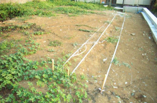 Local appearance photo. Local (August 2013) Shooting