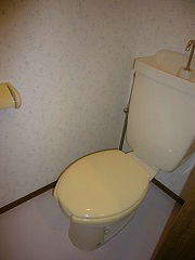 Toilet