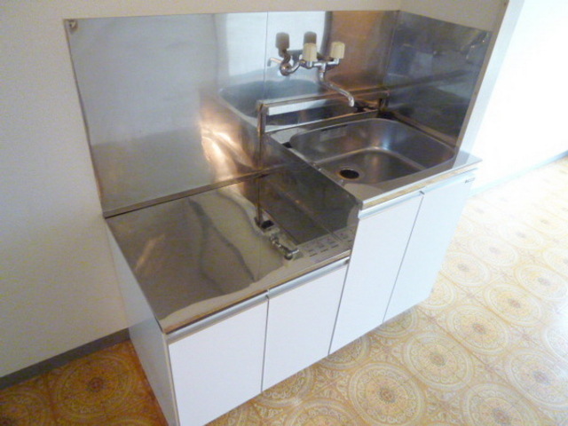 Kitchen. Two-burner gas stove is installation-friendly type of kitchen