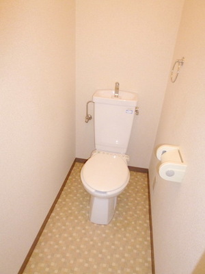 Toilet. Toilet with cleanliness