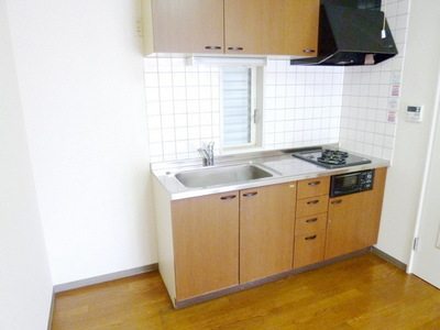 Kitchen. Two-burner gas system kitchen