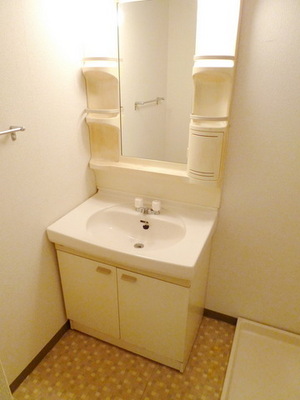 Washroom. Wash dressing room