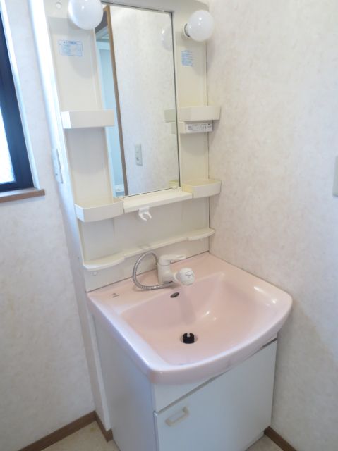 Washroom. Shampoo is Dresser