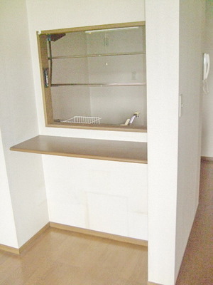 Other. ☆ counter ☆