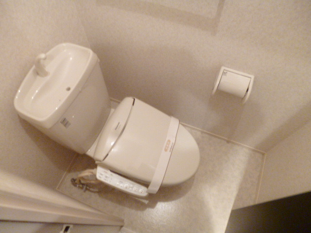 Toilet. Cleaning function toilet seat