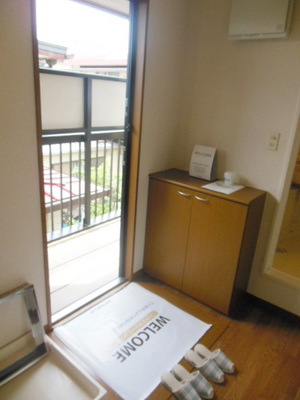 Other. Shoes with purse entrance