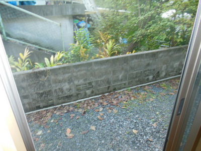 Garden. Terrace is the part