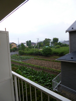 View. Day is also good