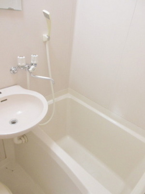 Bath. Clean bathroom