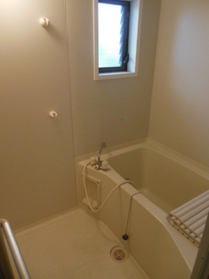 Bath. Small window with the bath