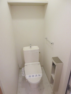 Toilet. Warm water washing toilet