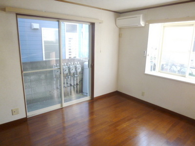 Living and room. Two-sided lighting bright Western-style