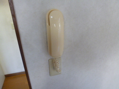 Security. Intercom with