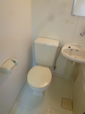 Toilet. Clean toilet