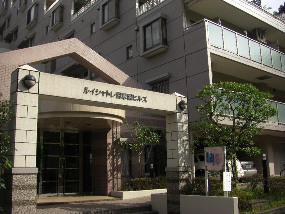 Local appearance photo. It is the appearance of the image of a stone.