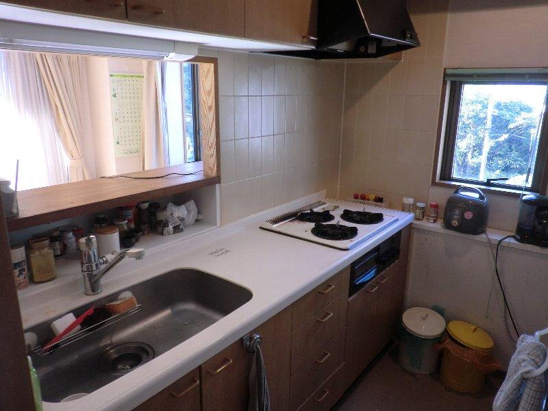 Kitchen. Bright face-to-face counter-type kitchen with a window.