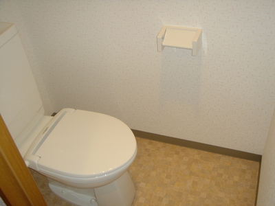 Toilet. Heating toilet seat