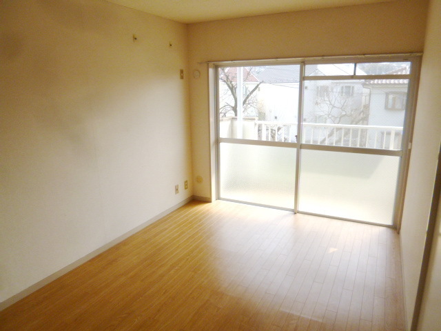 Living and room. Flooring of Western-style