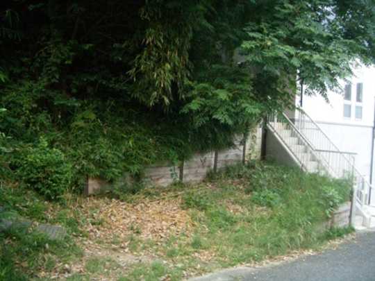 Local land photo. appearance